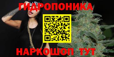 прущая мука Гусев