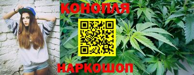 прущая мука Гусев