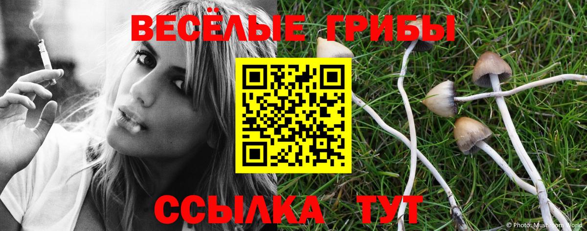 Галлюциногенные грибы ЛСД Родники